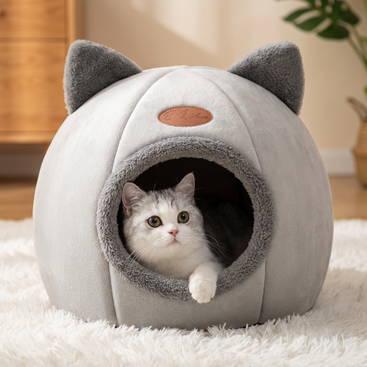 Maison douillette 🛏️