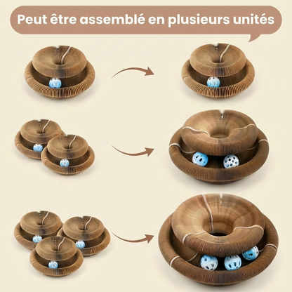 Miaou Loop – Griffoir interactif 🐱