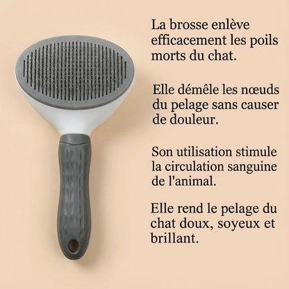 Brosse de soin 🧽