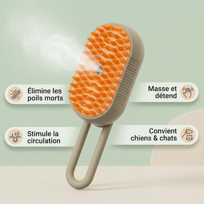 Brosse à vapeur 🧼