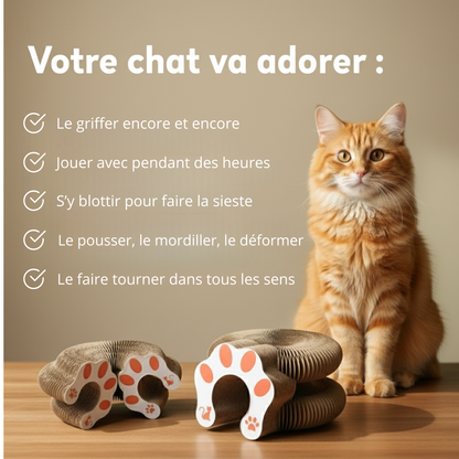 Miaou Loop – Griffoir interactif 🐱