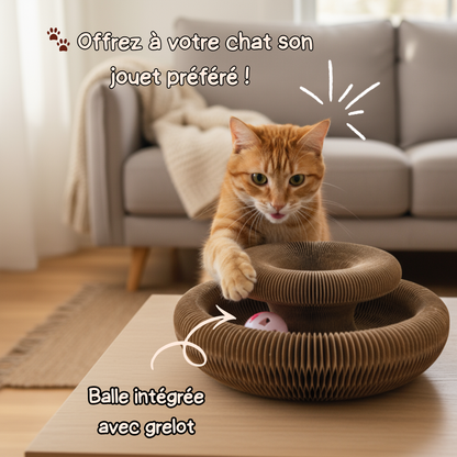 Miaou Loop – Griffoir interactif 🐱